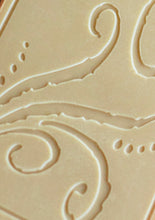 Load image into Gallery viewer, Balsamic Vinegar (Case of 12)